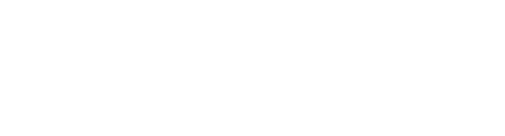 Chamber Partner